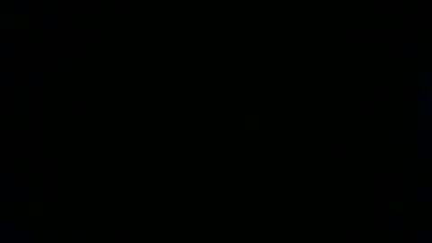 Lily Rhoades online show from 01-20-25, 10:51