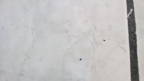 Snapshot of tall6feet7inch chatting on 09-14-25, 11:42 tall6feet7inch online show from 09-14-25, 11:42