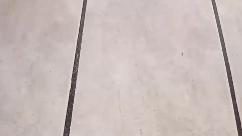 Snapshot of tall6feet7inch chatting on 09-24-25, 10:29 tall6feet7inch online show from 09-24-25, 10:29