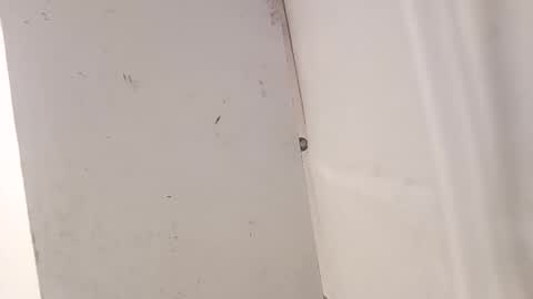 Snapshot of tall6feet7inch chatting on 12-18-25, 07:36 tall6feet7inch online show from 12-18-25, 07:36