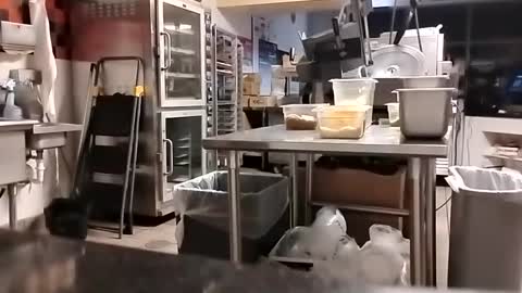 The Man of Steel online show from 09-10-25, 02:44