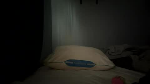 first stream was very fun grateful for every follow and super active chat online show from 04-28-26, 10:53