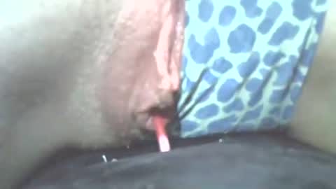 tamesbury online show from 11-02-25, 02:25