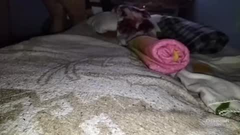 tangaxhentai3 online show from 01-06-25, 12:48