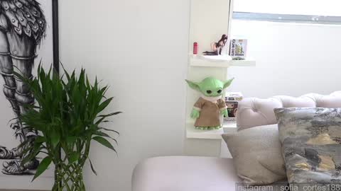 Snapshot of tatiana__cortes18 chatting on 01-28-25, 03:35 Sofia But You can call me Sofi online show from 01-28-25, 03:35