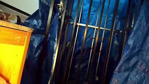 tatonkaboy online show from 04-26-26, 08:17