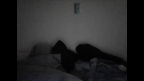 tattedpanther online show from 12-03-24, 04:39