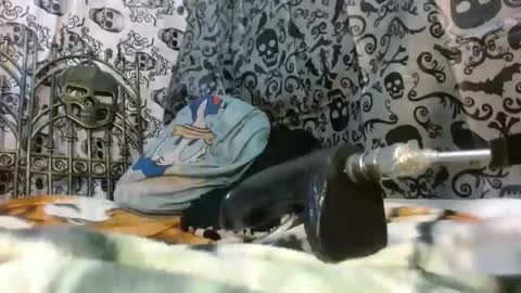 Katty badbitch online show from 10-24-25, 09:55