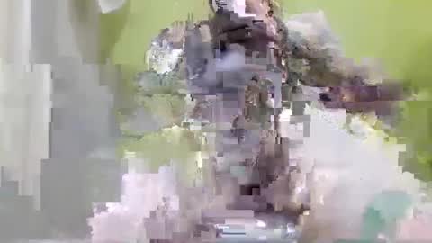 Snapshot of tattoo3333 chatting on 09-14-25, 02:38 tattoo3333 online show from 09-14-25, 02:38