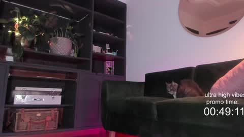 Snapshot of tattoo_ninja_kitty chatting on 12-02-24, 10:23 Nathalie Hardy online show from 12-02-24, 10:23