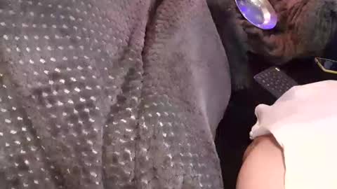 Jean pool online show from 12-17-25, 03:45