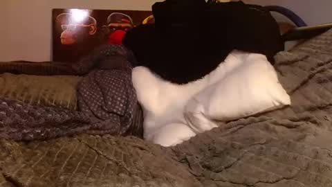 Snapshot of tattooman777 chatting on 03-28-26, 05:45 Jean pool online show from 03-28-26, 05:45