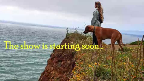 Snapshot of tatum__kahlo chatting on 10-30-25, 11:49 TATUM ALL MY LINKS online show from 10-30-25, 11:49