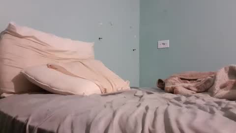 Snapshot of taulerfox chatting on 11-22-25, 05:28 Caito online show from 11-22-25, 05:28