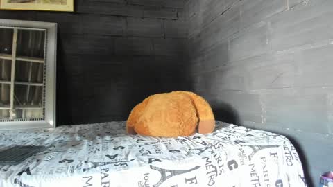  T A U R U S  online show from 01-17-25, 06:02