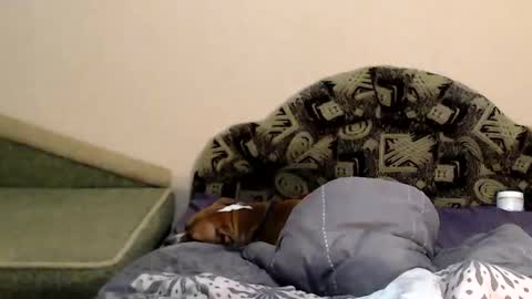 Taya online show from 02-04-25, 11:27