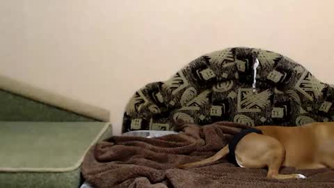 Taya online show from 12-16-25, 07:30