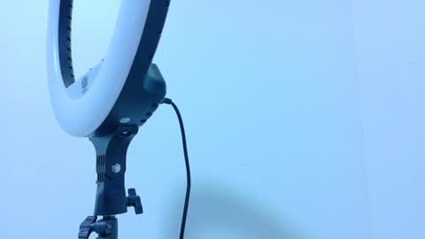 TAYLOR  online show from 11-13-25, 11:53