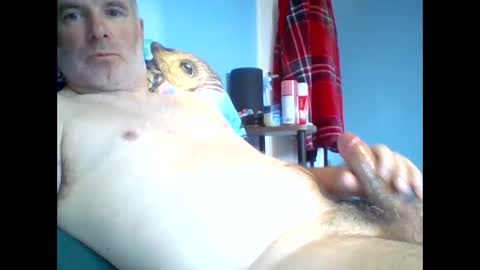 tazo78 online show from 11-09-25, 12:58