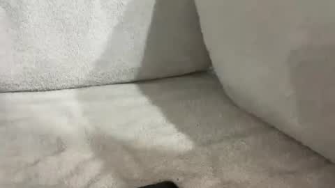 tbaexox online show from 11-16-25, 06:19