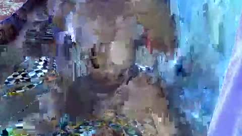 teabody1 online show from 03-23-26, 06:45