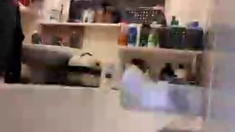 teecup4osk online show from 06-30-26, 10:00