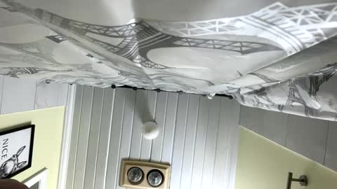 Twizzler online show from 02-12-25, 12:33