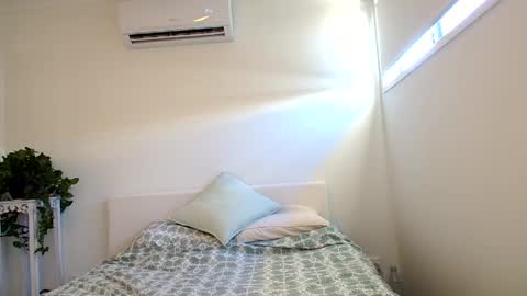 Telea Evans online show from 02-26-25, 02:59