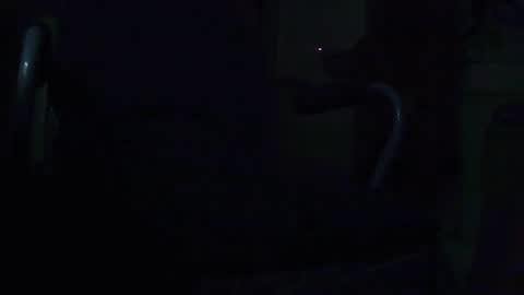 tetuo2 online show from 09-28-25, 09:36