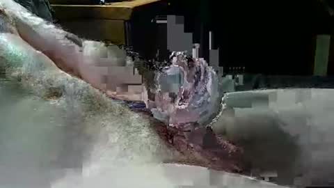 Texas Rose 33 online show from 04-04-26, 05:10