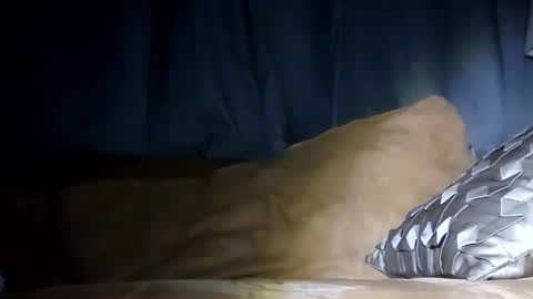 Snapshot of texasfried chatting on 01-29-25, 07:46 MauiMinded808 online show from 01-29-25, 07:46