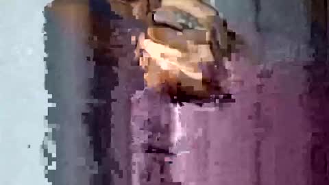 TexasDick online show from 11-16-25, 01:55