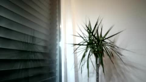 tger2024 online show from 11-03-25, 03:57