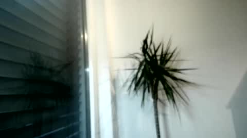 tger2024 online show from 12-01-25, 03:06