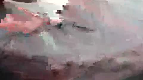 th1s1sp0rn online show from 05-26-26, 10:28