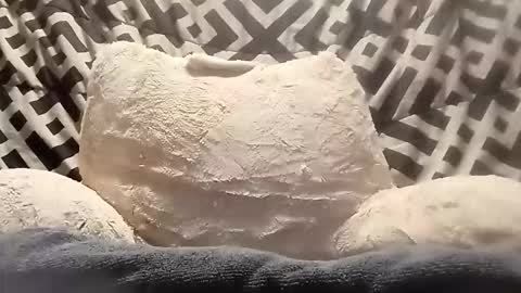 thatb1 online show from 04-13-26, 05:46