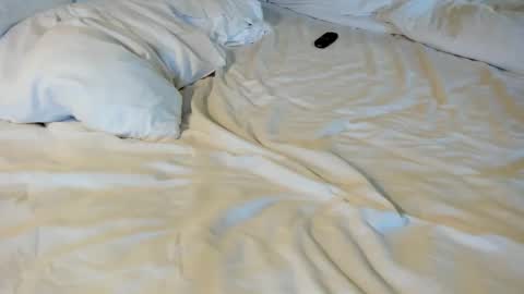 Snapshot of thatguyfromx chatting on 02-05-26, 04:11 That guy follow on X online show from 02-05-26, 04:11