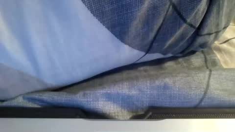 Snapshot of the_borderlands chatting on 02-01-26, 12:48 the crazy travellers online show from 02-01-26, 12:48