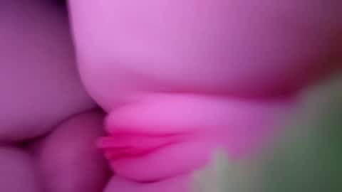 Snapshot of thebigcock4u222427 chatting on 05-30-26, 04:42 thebigcock4u222427 online show from 05-30-26, 04:42