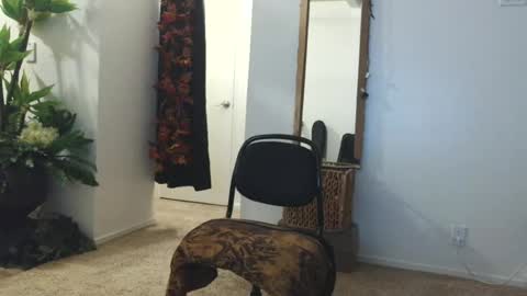 thedevilstwink online show from 06-12-26, 04:33