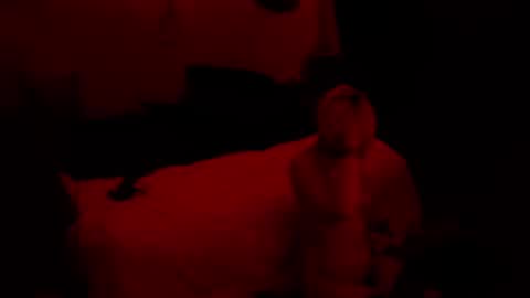 thehungmantis online show from 10-15-25, 02:22