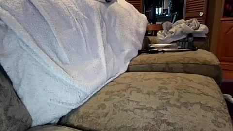 Snapshot of theicecreamguru chatting on 10-08-25, 07:55 theicecreamguru online show from 10-08-25, 07:55