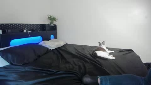 Johnny Stone online show from 04-22-26, 11:39