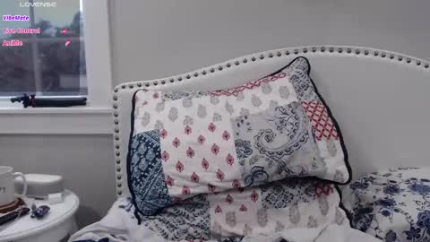 Snapshot of thelipsdown chatting on 03-02-25, 09:11 Lacey online show from 03-02-25, 09:11