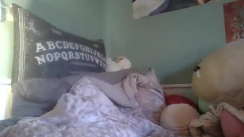 Little Bambii online show from 12-13-24, 06:49