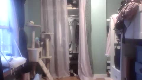 Little Bambii online show from 01-27-25, 09:55