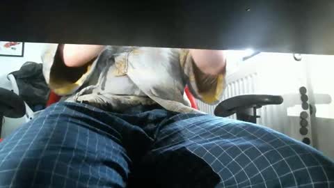 thelittleteaser online show from 04-20-26, 02:42