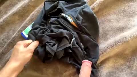 Newcummers online show from 07-09-26, 06:12