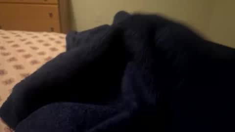 theplummer99 online show from 12-04-25, 09:29