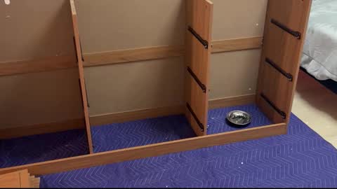 therealdylansdick online show from 11-15-25, 12:41